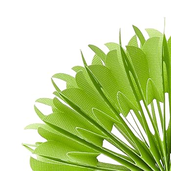 Amazon.co.jp: ミクニ 加湿器 おくだけエコ加湿 ちょこっと